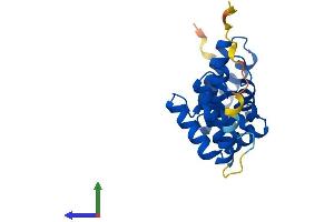 AlphaFold protein structure predicition of Human Recombinant ARMC7 Protein, UniprotID Q9H6L4