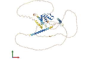 AlphaFold protein structure predicition of Mouse Recombinant Acbd5 Protein, UniprotID Q5XG73