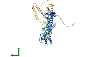AlphaFold protein structure predicition of Human Recombinant CNGA2 Protein, UniprotID Q16280