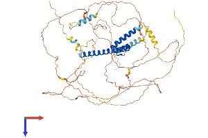AlphaFold protein structure predicition of Human Recombinant TCF4 Protein, UniprotID P15884