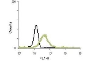 Cell surface detection of MC3R in live human promyelocytic leukemia HL-60 cells.