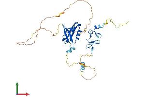 AlphaFold protein structure predicition of Human Recombinant PDLIM4 Protein, UniprotID P50479