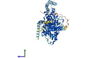 AlphaFold protein structure predicition of Mouse Recombinant Grk3 Protein, UniprotID Q3UYH7