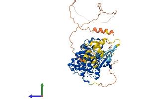 AlphaFold protein structure predicition of Human Recombinant CDK16 Protein, UniprotID Q00536