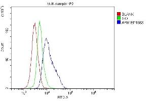 Flow Cytometry analysis of mouse spleens tissues using anti-Afm antibody (ABIN7601653).