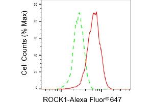 Flow cytometric analysis of ROCK1 expression in HepG2 cells using ROCK1 antibody (ABIN7800201), 1:2,000). (Recombinant ROCK1 anticorps)