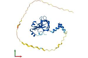 AlphaFold protein structure predicition of Mouse Recombinant Cenpv Protein, UniprotID Q9CXS4