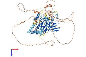 AlphaFold protein structure predicition of Mouse Recombinant Setdb2 Protein, UniprotID Q8C267