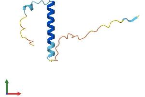 AlphaFold protein structure predicition of Human Recombinant NRGN Protein, UniprotID Q92686