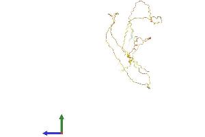 AlphaFold protein structure predicition of Mouse Recombinant Srsf12 Protein, UniprotID Q8C8K3