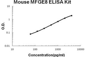 Mouse MFGE8/Lactadherin PicoKine ELISA Kit standard curve (MFGE8 Kit ELISA)