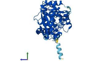 AlphaFold protein structure predicition of Human Recombinant AGPAT5 Protein, UniprotID Q9NUQ2