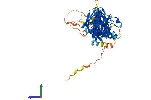 AlphaFold protein structure predicition of Human Recombinant SNTG2 Protein, UniprotID Q9NY99