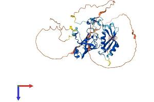 AlphaFold protein structure predicition of Mouse Recombinant Trmo Protein, UniprotID Q562D6