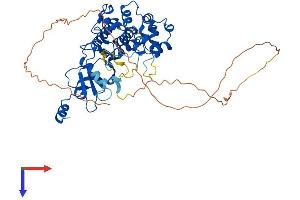AlphaFold protein structure predicition of Mouse Recombinant Cdk19 Protein, UniprotID Q8BWD8