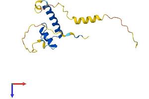 AlphaFold protein structure predicition of Human Recombinant ID2 Protein, UniprotID Q02363