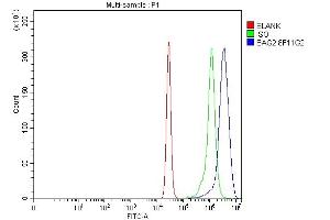 Flow Cytometry analysis of K562 cells using anti-BAG2 antibody (ABIN7599087). (BAG2 anticorps  (AA 1-211))