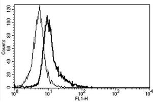 Flow Cytometry (FACS) image for anti-Interleukin 6 Signal Transducer (Gp130, Oncostatin M Receptor) (IL6ST) antibody (FITC) (ABIN1105854)