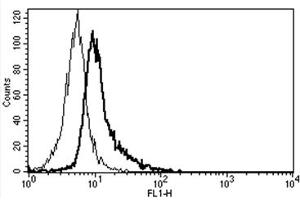 Flow Cytometry (FACS) image for anti-Interleukin 6 Signal Transducer (Gp130, Oncostatin M Receptor) (IL6ST) antibody (FITC) (ABIN1105854) (CD130/gp130 anticorps  (FITC))
