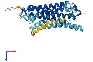 AlphaFold protein structure predicition of Human Recombinant OR6B2 Protein, UniprotID Q6IFH4