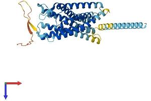 Chemokine (C-X-C Motif) Receptor 7 (CXCR7) (AA 1-362) protein (His tag)