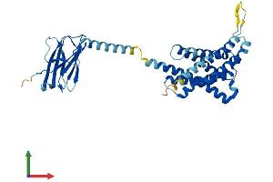 AlphaFold protein structure predicition of Human Recombinant HACD3 Protein, UniprotID Q9P035