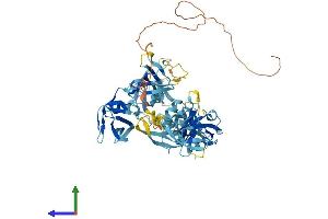 AlphaFold protein structure predicition of Human Recombinant THEMIS Protein, UniprotID Q8N1K5