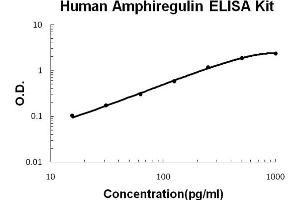 Human Amphiregulin(AR) Accusignal ELISA Kit Human Amphiregulin(AR) AccuSignal ELISA Kit standard curve. (Amphiregulin Kit ELISA)