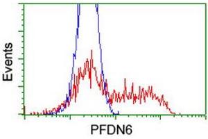 Image no. 6 for anti-Prefoldin Subunit 6 (PFDN6) (AA 2-129) antibody (ABIN1491113) (PFDN6 anticorps  (AA 2-129))