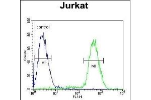 P1R3A Antibody (Center) (ABIN654633 and ABIN2844329) flow cytometric analysis of Jurkat cells (right histogram) compared to a negative control cell (left histogram). (PPP1R3A anticorps  (AA 754-782))