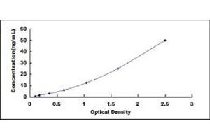 Typical standard curve (KMO Kit ELISA)