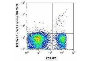 anti-TCR V Gamma1.1 + V Gamma1.2 antibody