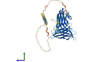 AlphaFold protein structure predicition of Human Recombinant SYT15 Protein, UniprotID Q9BQS2