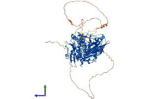AlphaFold protein structure predicition of Mouse Recombinant Adarb1 Protein, UniprotID Q91ZS8