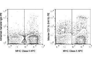 C57Bl/6 splenocytes were stained with APC Anti-Mouse MHC Class II (ABIN6961495) and 0.