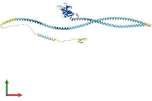 AlphaFold protein structure predicition of Mouse Recombinant Clec4f Protein, UniprotID P70194