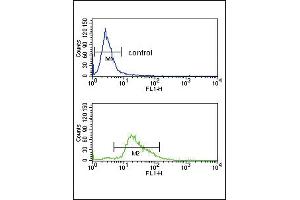 PLG Antibody (C-term) (ABIN391479 and ABIN2841449) flow cytometry analysis of K562 cells (bottom histogram) compared to a negative control cell (top histogram).