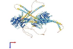 AlphaFold protein structure predicition of Human Recombinant CDC42BPG Protein, UniprotID Q6DT37