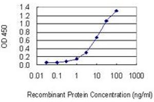 Detection limit for recombinant GST tagged DYRK3 is 0. (DYRK3 anticorps  (AA 1-568))
