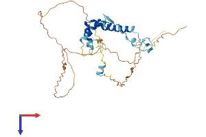 AlphaFold protein structure predicition of Human Recombinant SPRY1 Protein, UniprotID O43609