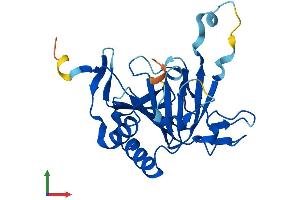 AlphaFold protein structure predicition of Human Recombinant ALKBH6 Protein, UniprotID Q3KRA9