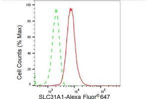 Flow cytometric analysis of SLC31A1 expression in HT- cells using SLC31A1 antibody (ABIN7800396), 1:2,000). (Recombinant SLC31A1 anticorps)