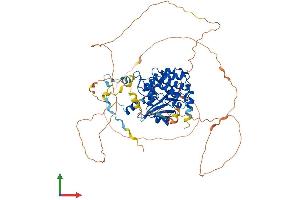 AlphaFold protein structure predicition of Human Recombinant PAK6 Protein, UniprotID Q9NQU5