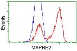 HEK293T cells transfected with either RC200259 overexpress plasmid (Red) or empty vector control plasmid (Blue) were immunostained by anti-MAPRE2 antibody (ABIN2454584), and then analyzed by flow cytometry. (MAPRE2 anticorps)