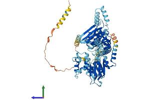 AlphaFold protein structure predicition of Mouse Recombinant Abcf2 Protein, UniprotID Q99LE6