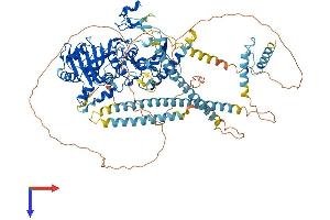 AlphaFold protein structure predicition of Human Recombinant MORC3 Protein, UniprotID Q14149
