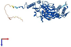 AlphaFold protein structure predicition of Human Recombinant MRPS30 Protein, UniprotID Q9NP92