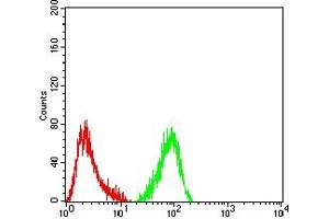 Flow cytometric analysis of Hela cells using MUC5B mouse mAb (green) and negative control (red).