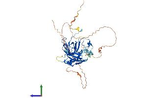 AlphaFold protein structure predicition of Human Recombinant TRMO Protein, UniprotID Q9BU70