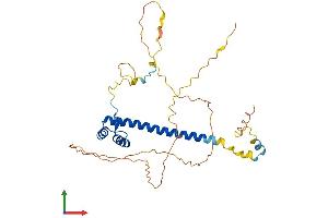 AlphaFold protein structure predicition of Human Recombinant TLX1 Protein, UniprotID P31314